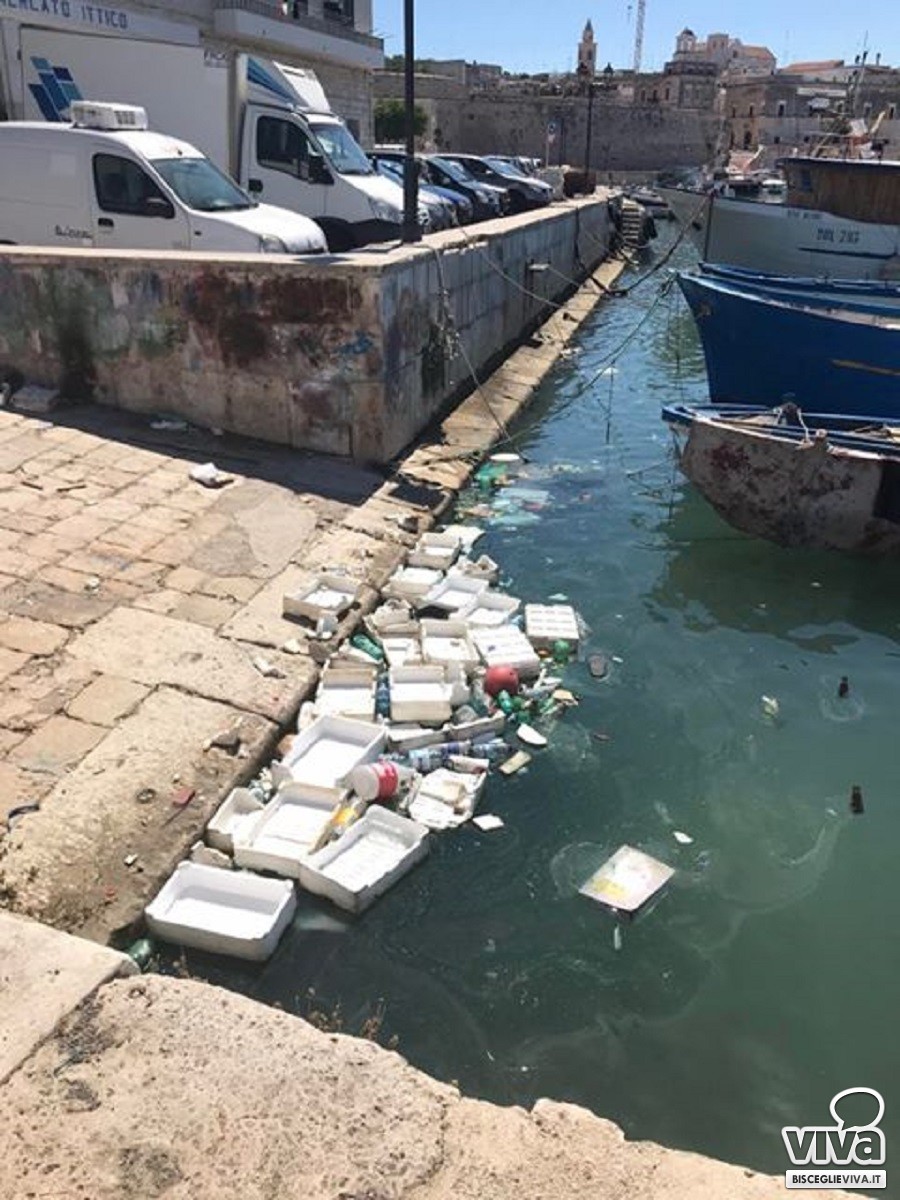 Cassette di polistirolo abbandonate nelle acque del porto di Bisceglie