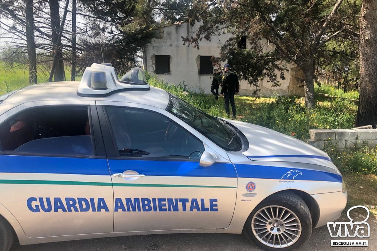 Incendio di sterpaglie e rifiuti in via Vecchia Corato