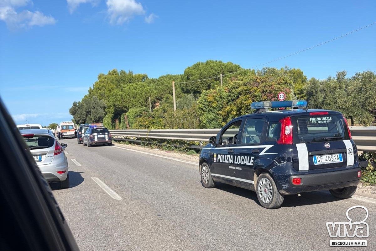 Incidente sulla 16 bis in territorio di Bisceglie