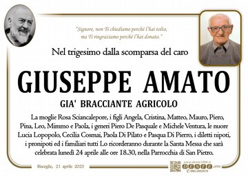 Amato Giuseppe Padre Pio nel tondo