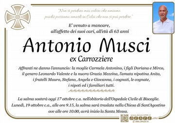 Musci Corretto ok