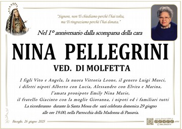 Pellegrini Antonia Addol nuova