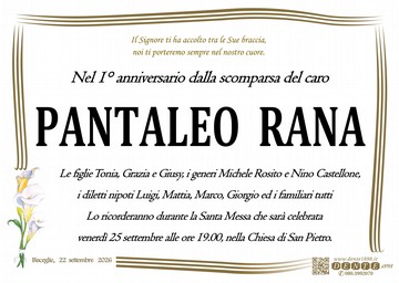 Rana Pantaleo Calle