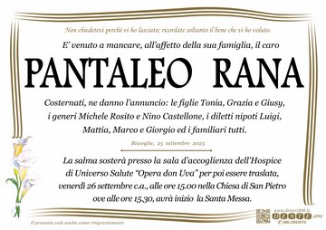 Rana Pantaleo Calle