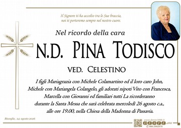 Todisco Pina spighe di grano