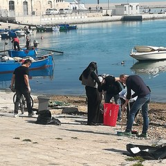 I commercianti di via La Spiaggia ripuliscono la zona del porto