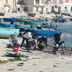 I commercianti di via La Spiaggia ripuliscono la zona del porto