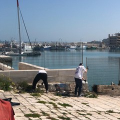 I commercianti di via La Spiaggia ripuliscono la zona del porto