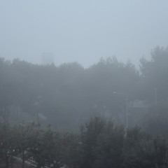 Nebbia a Bisceglie