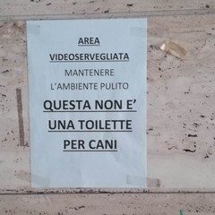 Bisceglie, una città più pulita, libera da deiezioni e da rifiuti abbandonati