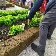 Bisceglie, gli scolari del plesso Puglisi donano alla Caritas il raccolto dell'orto didattico