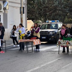 Bisceglie, festa d'autunno al terzo circolo San Giovanni Bosco