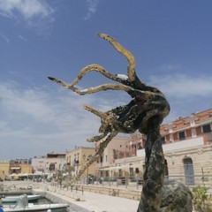 Scultura danneggiata al porto di Bisceglie