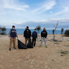 Volontari puliscono un tratto di spiaggia biscegliese