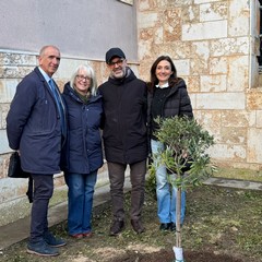 Piantumato l’ulivo di Gino nella sede di Bisceglie del CPIA