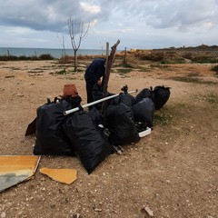 Volontari puliscono un tratto di spiaggia biscegliese
