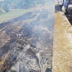 Incendi di sterpaglie, interventi dei mezzi dell'Oer