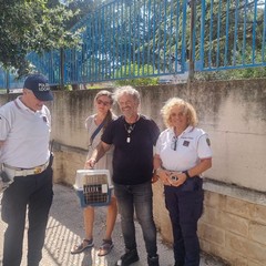 Bisceglie, giovane volpe recuperata in strada