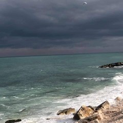 Volontari puliscono un tratto di spiaggia biscegliese