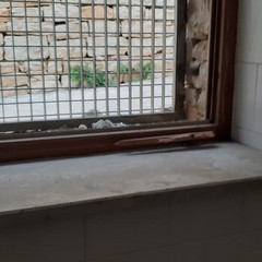 Bisceglie, crolla la vetrata di un bagno al Teatro Mediterraneo