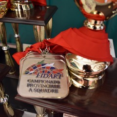 Finali provinciali e fase regionale Trofeo Coni freccette