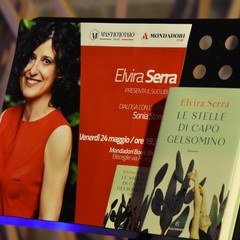 Elvira Serra alle Vecchie Segherie Mastrototaro