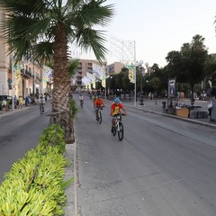Palio della Quercia 2019
