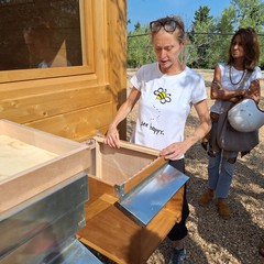 L Ape F A inaugurato l apiario olistico a Bisceglie