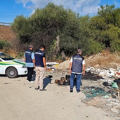 Rifiuti abbandonati selvaggiamente a Bisceglie, individuato un responsabile