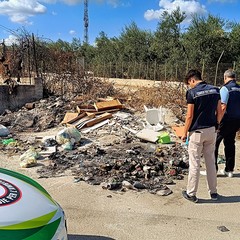 Rifiuti abbandonati selvaggiamente a Bisceglie, individuato un responsabile