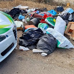 Rifiuti abbandonati selvaggiamente a Bisceglie, individuato un responsabile