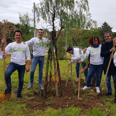 Alberi per il futuro