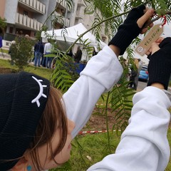 Alberi per il futuro