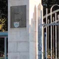 All Insegna