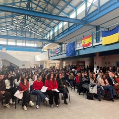 Attivit in occasione della Giornata contro la violenza di Genere