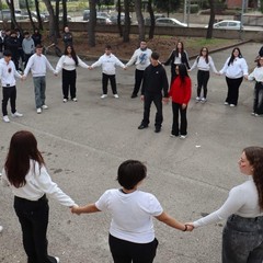 Attivit in occasione della Giornata contro la violenza di Genere