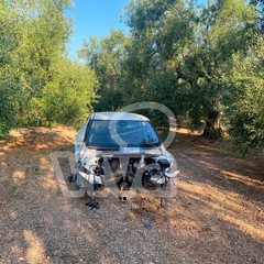 auto cannibalizzate