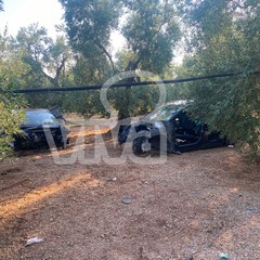 auto cannibalizzate