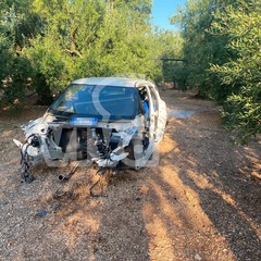 auto cannibalizzate
