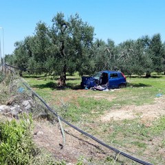 Si ribalta con l'auto sulla provinciale Bisceglie-Andria e sbatte contro un albero