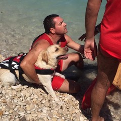 Cani da salvataggio impegnati in una dimostrazione sulle spiagge biscegliesi