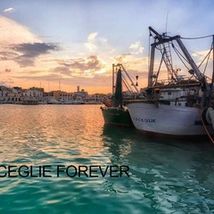 Bisceglie Forever - Gruppo facebook gestito da Matteo Di Reda