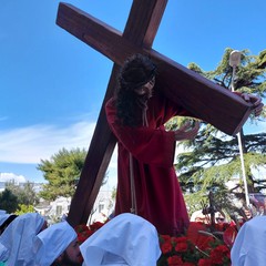 Il simulacro di Gesù portacroce in sosta davanti all'ospedale di Bisceglie