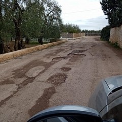 Buche sulle strade biscegliesi