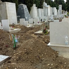 La situazione al cimitero di Bisceglie nelle immagini diffuse da Francesco Spina