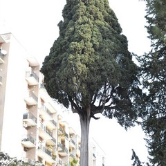 Lama Cappuccini a Bisceglie, cominciati i lavori di recupero e valorizzazione