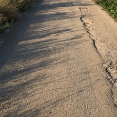 Degrado e stato di abbandono nellagro biscegliese