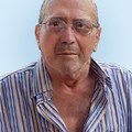 DI MOLFETTA DOMENICO