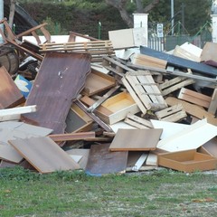 Cataste di legno nelle vicinanze della parrocchia di Santa Maria di Costantinopoli