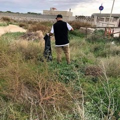Volontari puliscono un tratto di spiaggia biscegliese